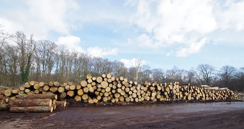 We stock and source a variety of softwood & hardwood timber offering the highest grades in all.